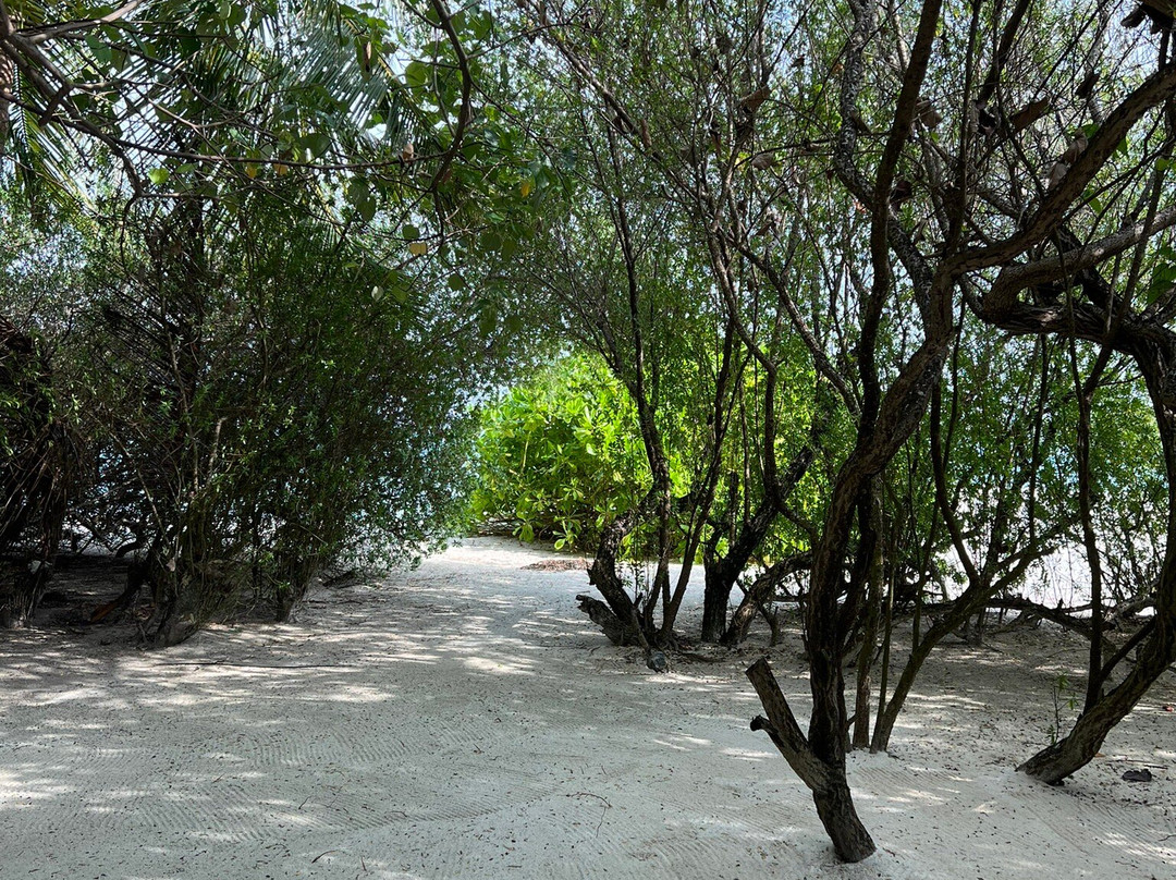 Pearl Sands of Maldives主图