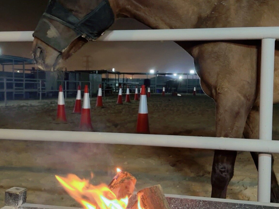 Almarbat-Mesaieed必去景点