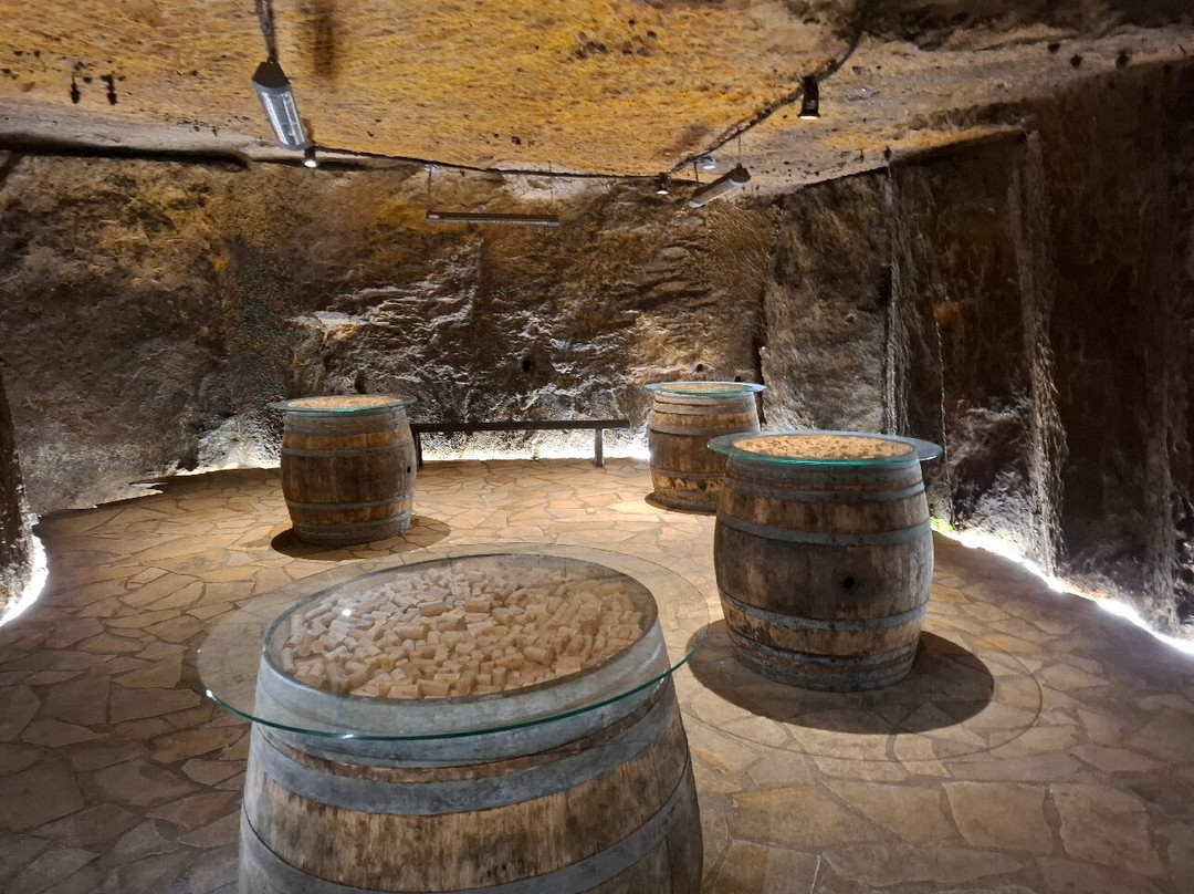 Caves Plouzeau-希农必去景点