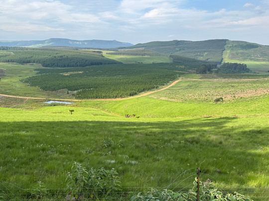 Curry's Post B&B主图