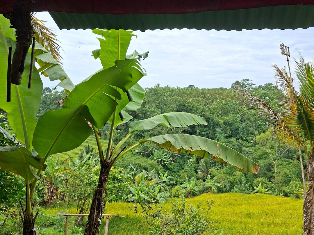 Kubu Terrace Jatiluwih Official-Jatiluwih必去景点
