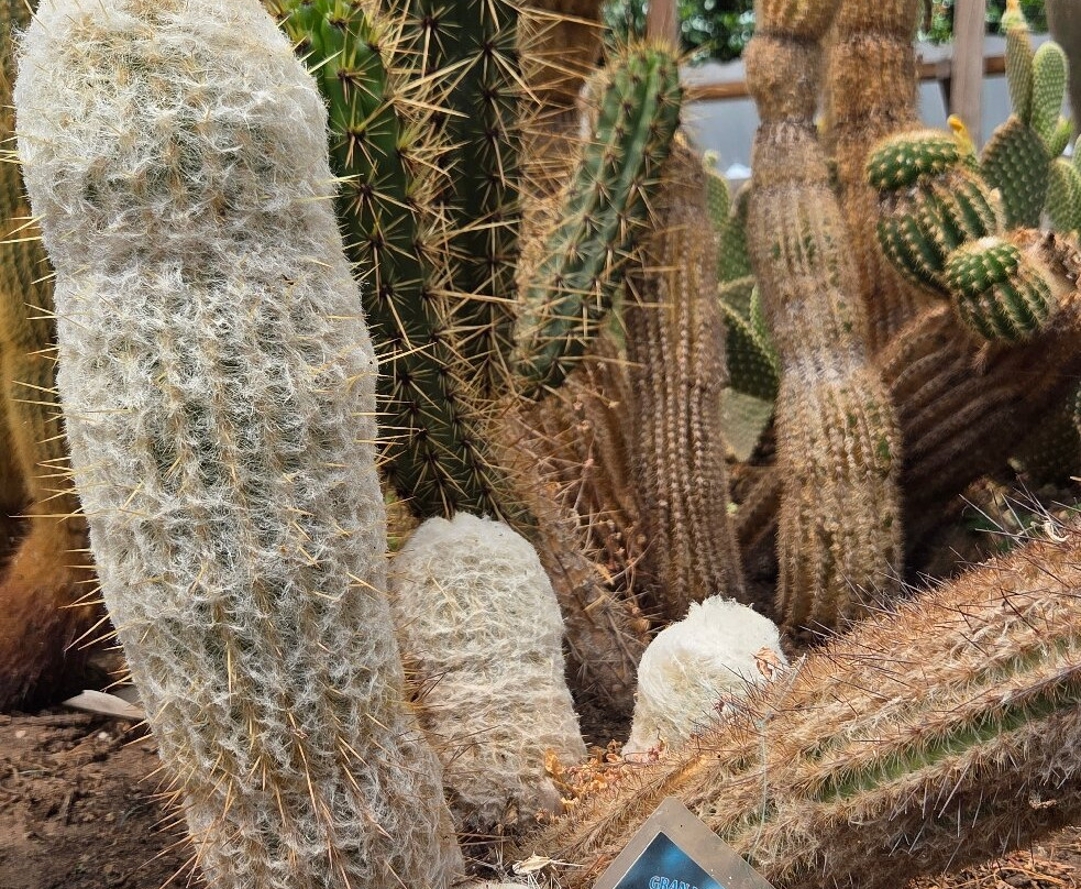 Jardin Botanico Pisac-Pisac必去景点
