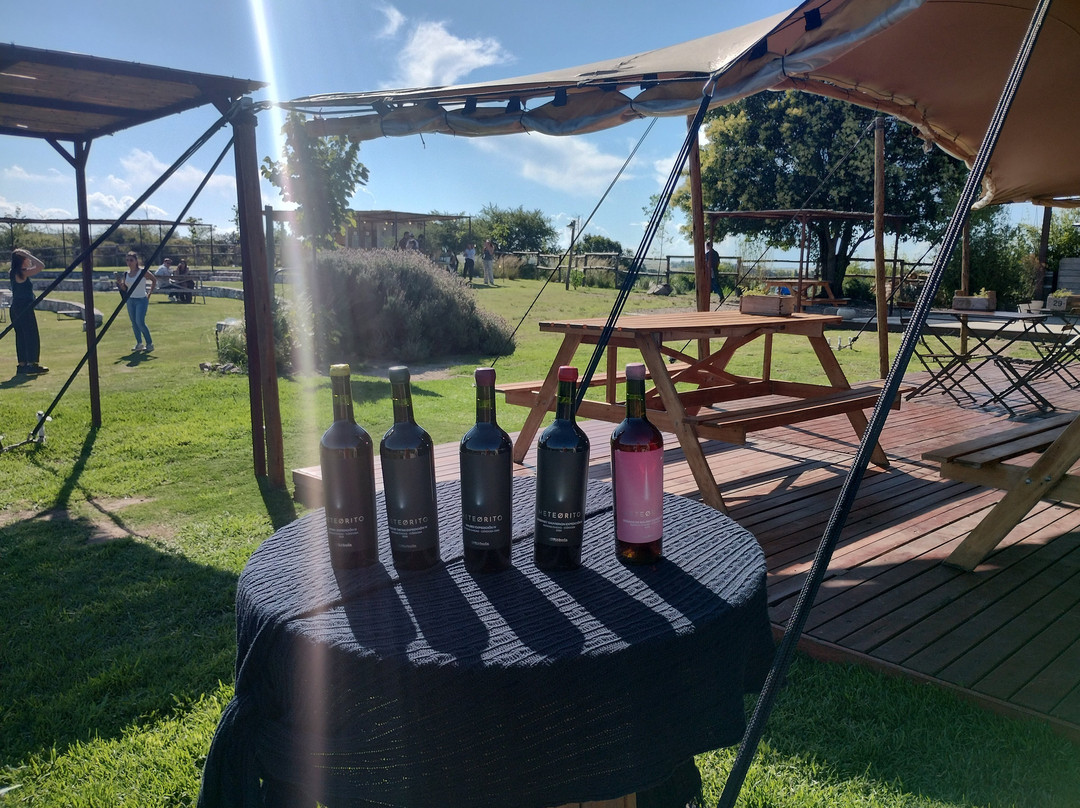 Cordoba Wine Travel-科尔多瓦必去景点