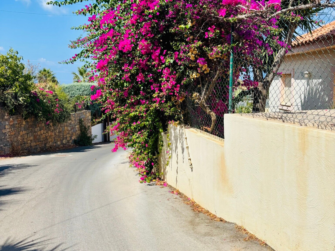 The Noverian Scenic Crete 5* Hilltop Villa Resort & Spa主图