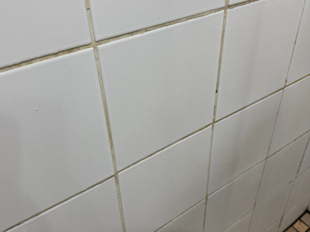 Tzaneen Country Lodge主图