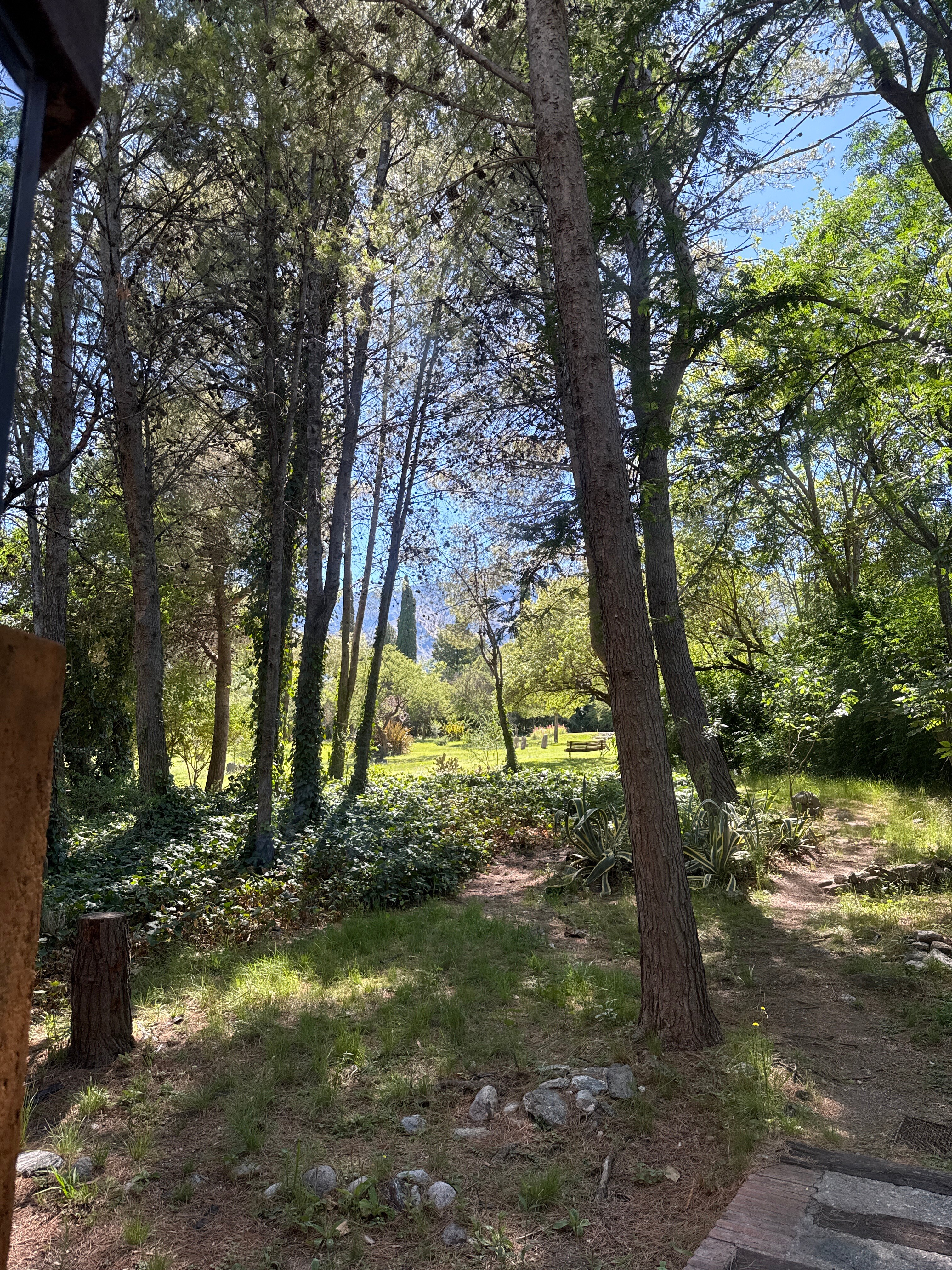 Domus San Javier-官方