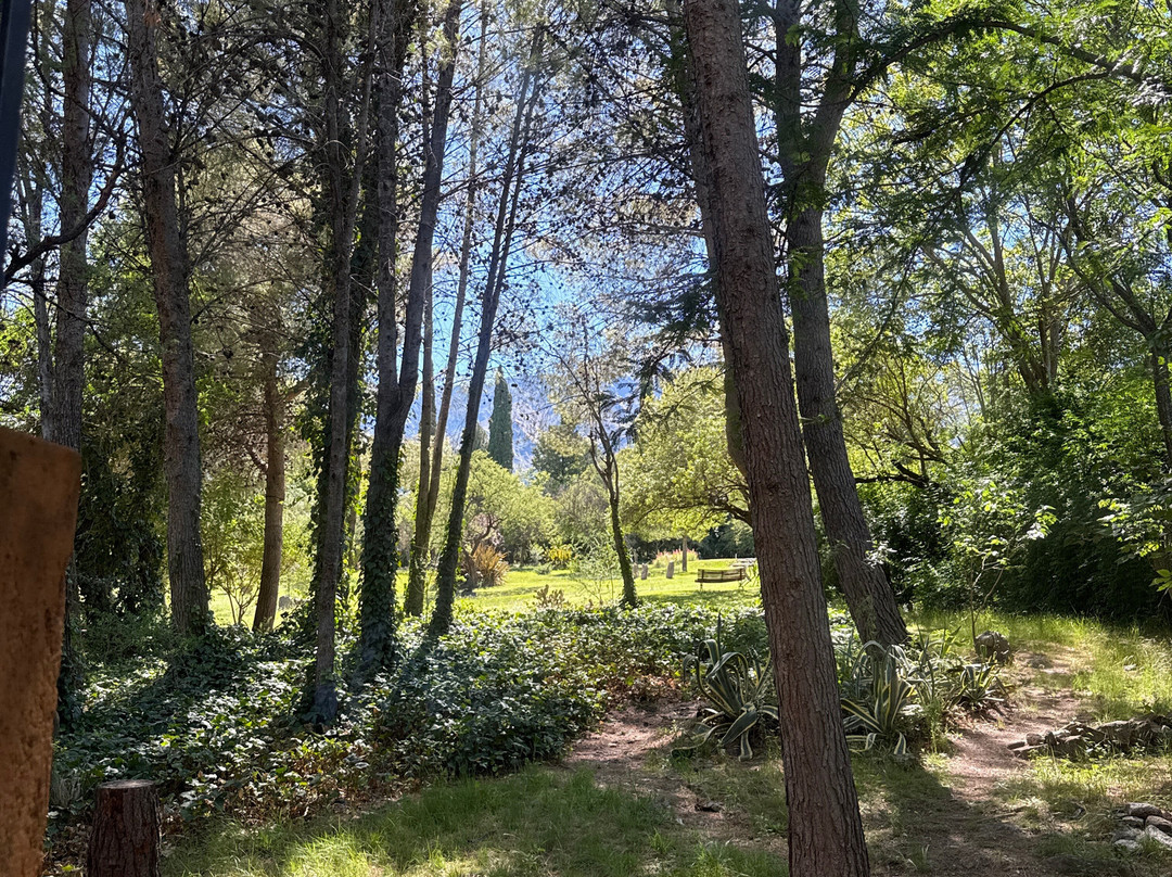 Domus San Javier主图