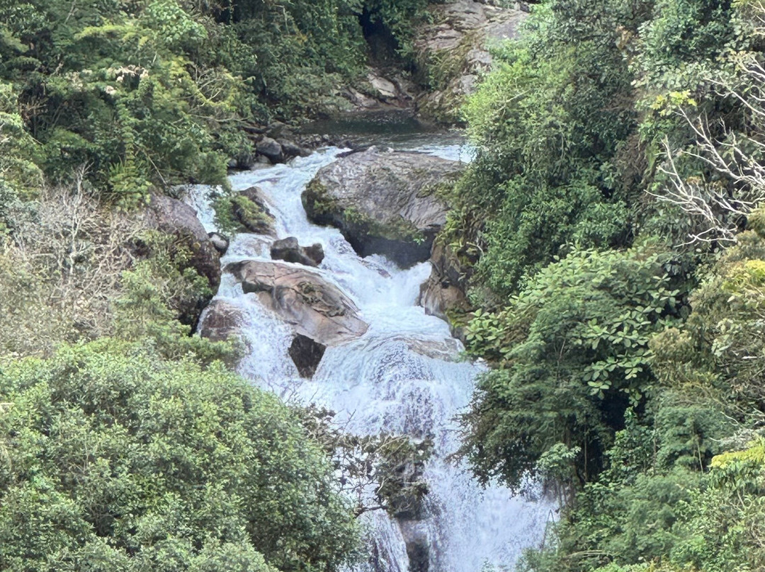 Casa Mariposa Nature Lodge主图