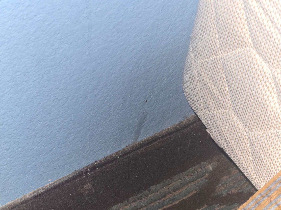 Country Inn & Suites by Radisson, Lubbock, TX主图