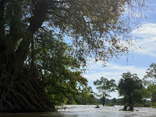 Dolphin Kayaking Adventures-Kratie必去景点