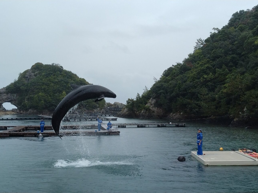 Taiji Whale Museum-太地町必去景点