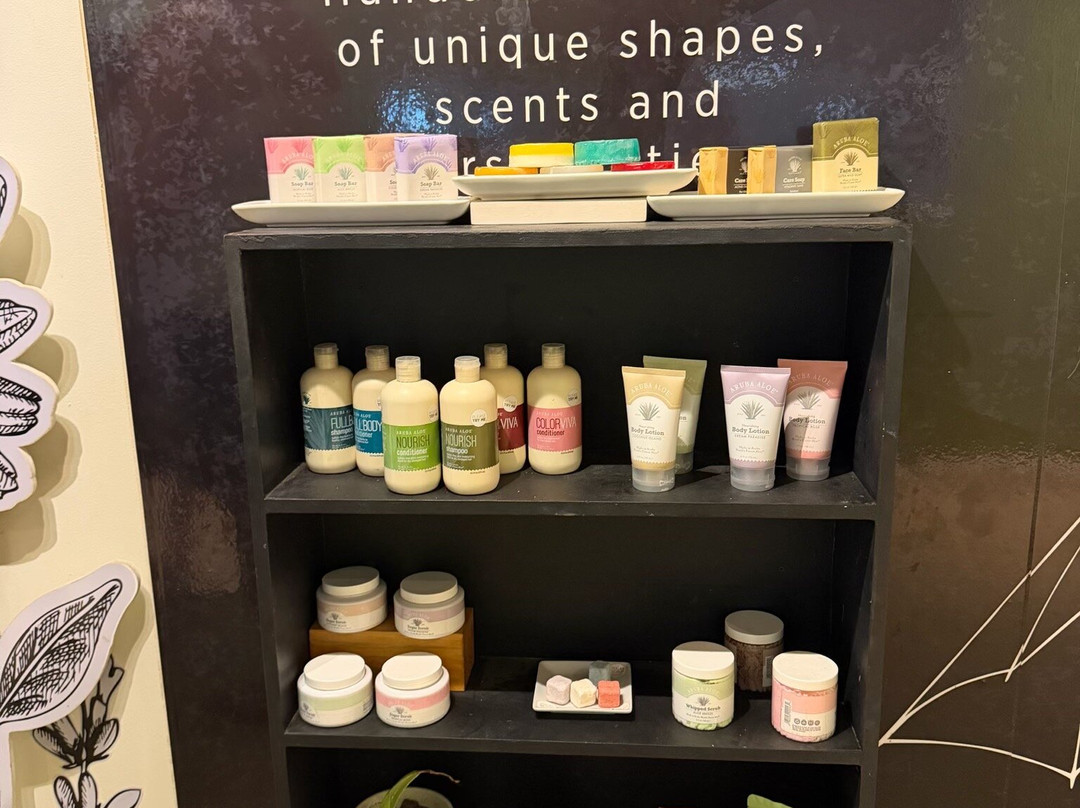 Aruba Aloe Factory, Museum and Store-阿鲁巴岛必去景点