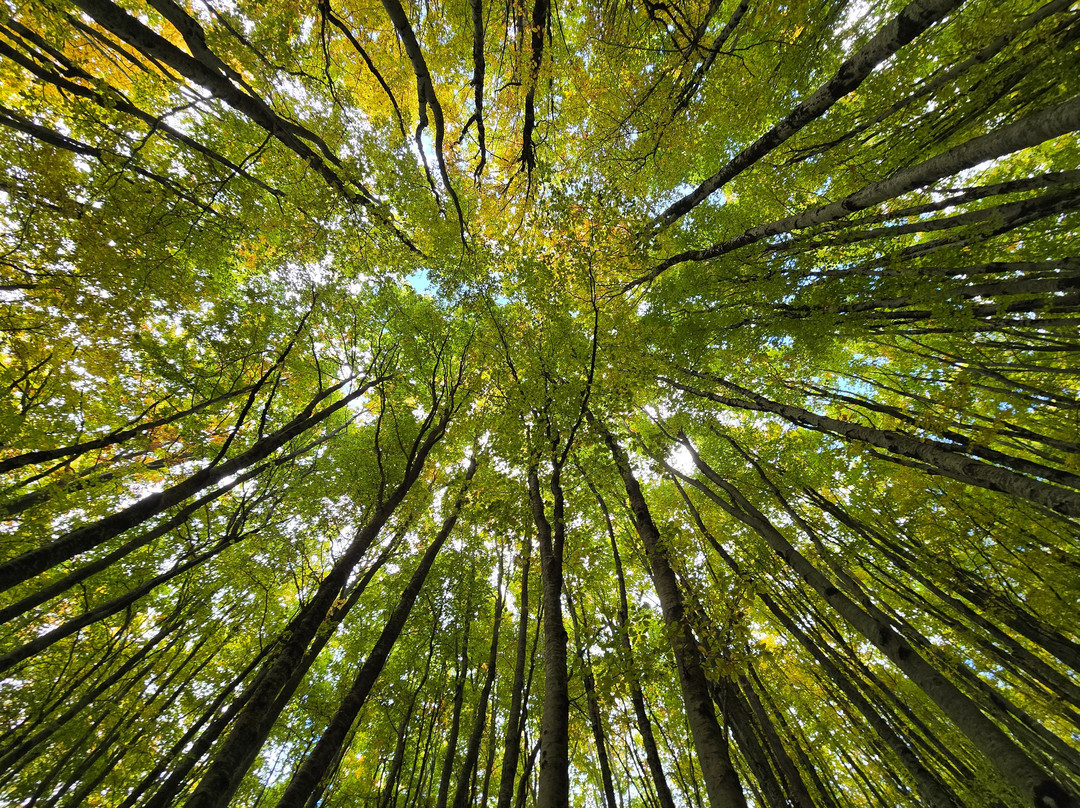 Lovcen National Park-Cetinje必去景点