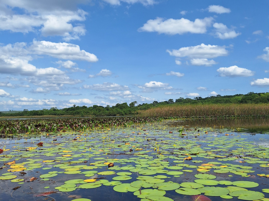 Fazenda Marimbus-迪亚曼蒂那国家公园必去景点