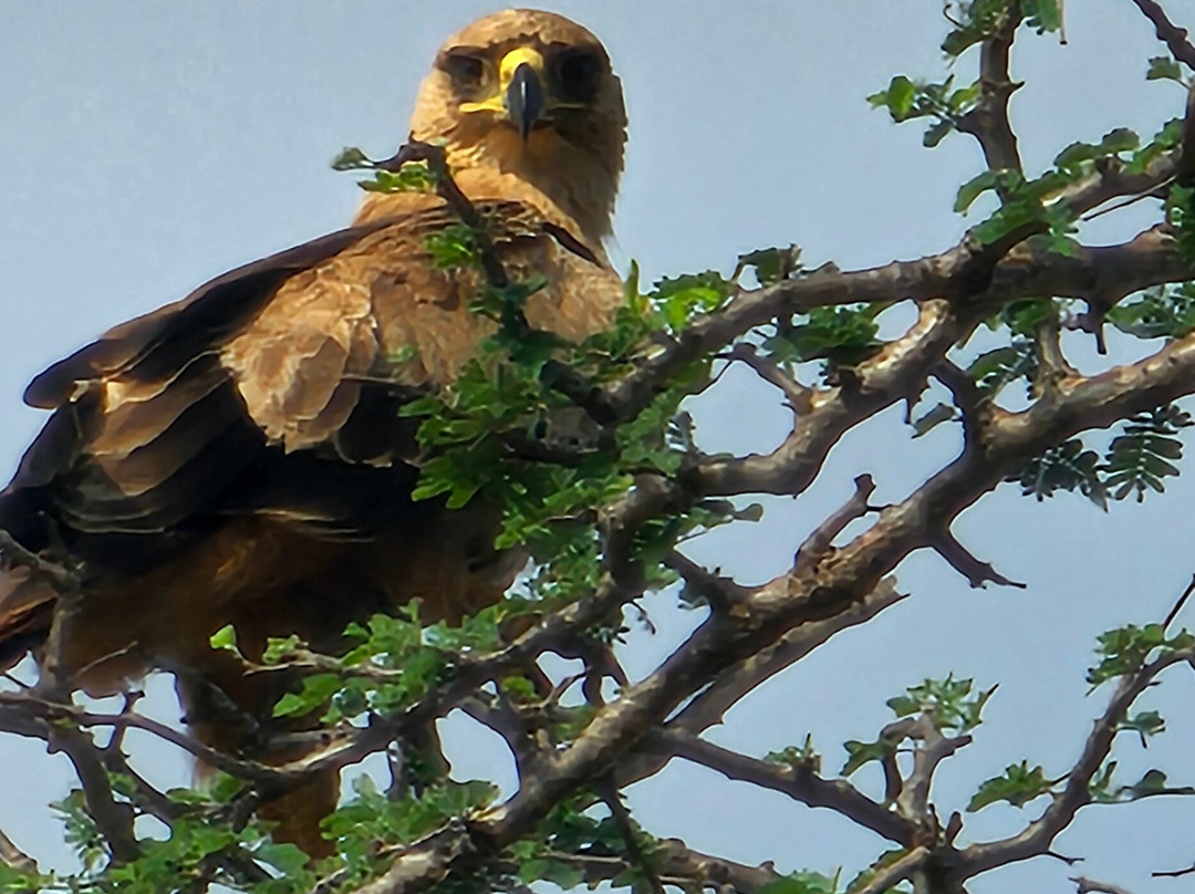 Msherembe Safaris And Travel-Voi必去景点