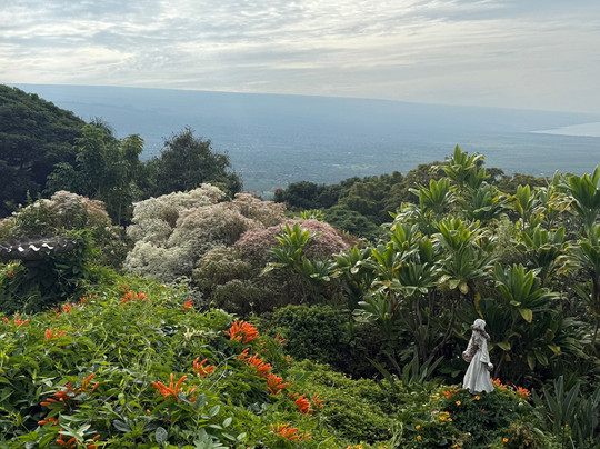 贝尔奴考纳旅社主图