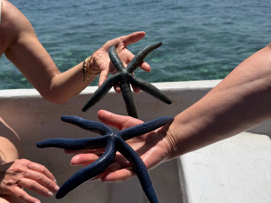 Baraccuda Safari Kenya-瓦塔木必去景点