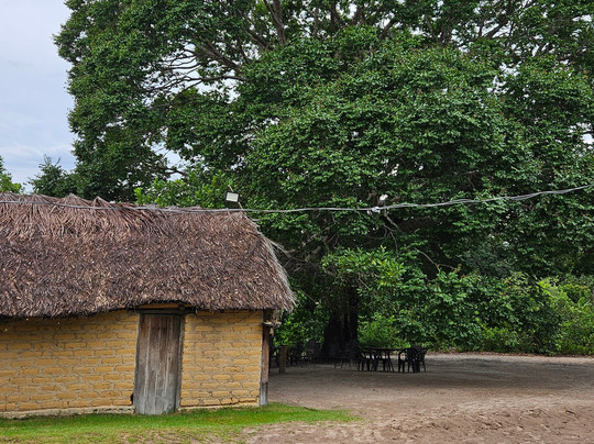 Praia Rica Ecoturismo - expedições personalizadas no Cerrado brasileiro-Palmas必去景点