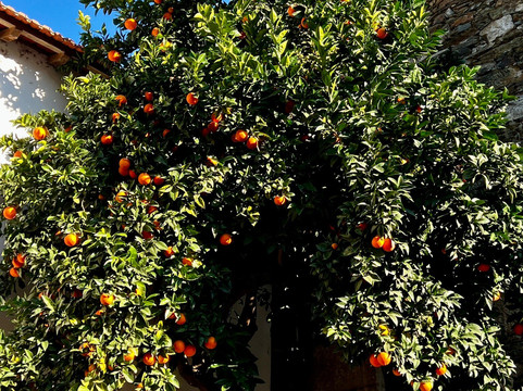 aDayinDouro-波尔图必去景点