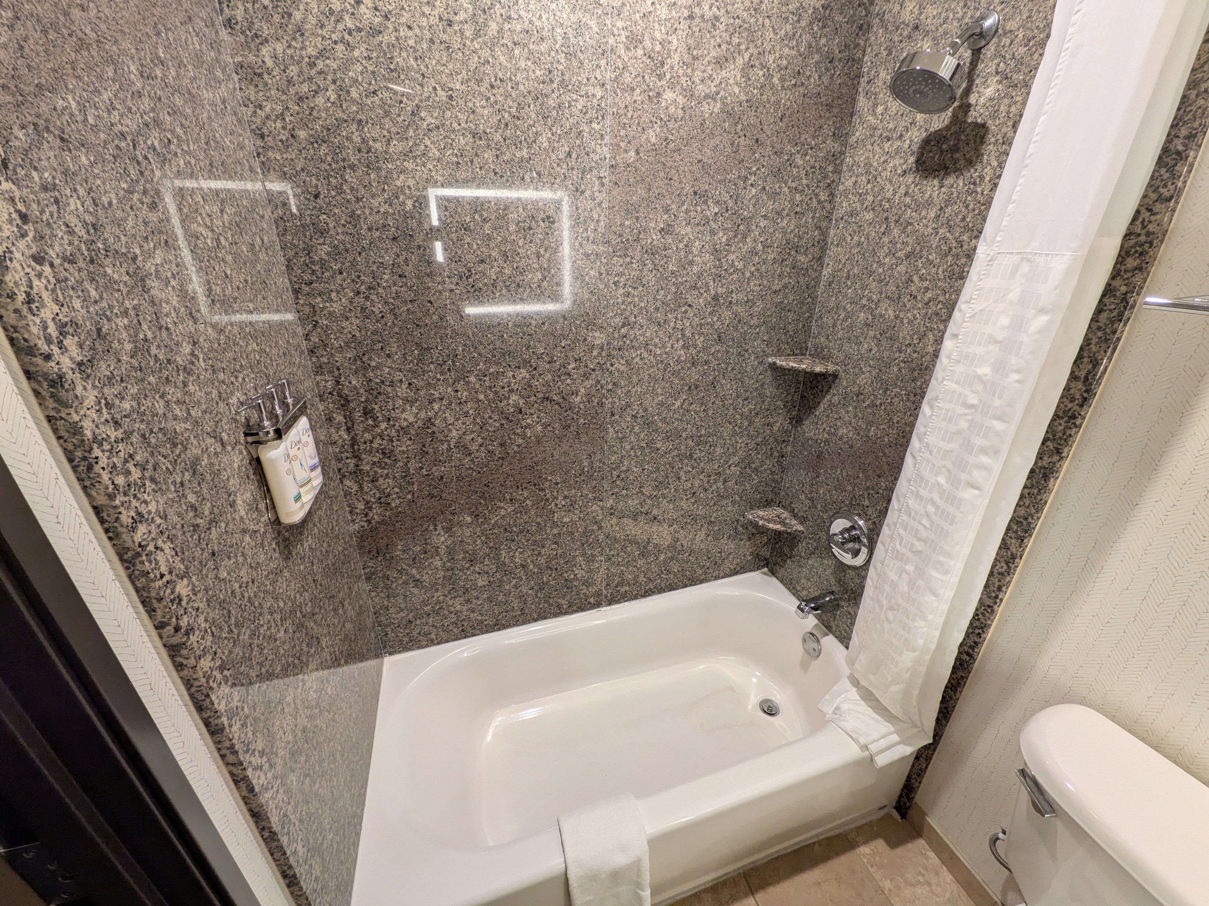 Holiday Inn Ontario By Ihg-浴室