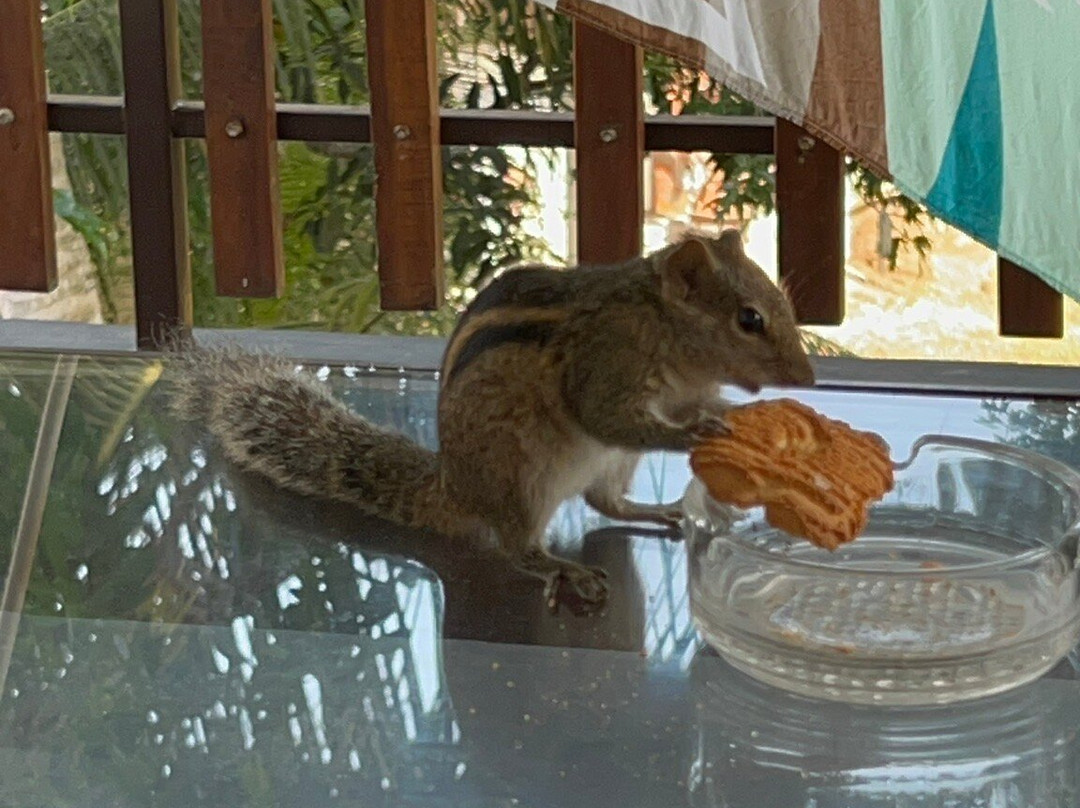 Turtle Paradise主图