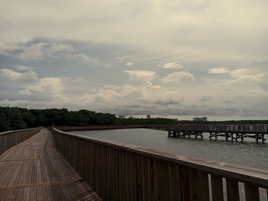Ecoparque Ciénaga De Mallorquín-Barranquilla必去景点