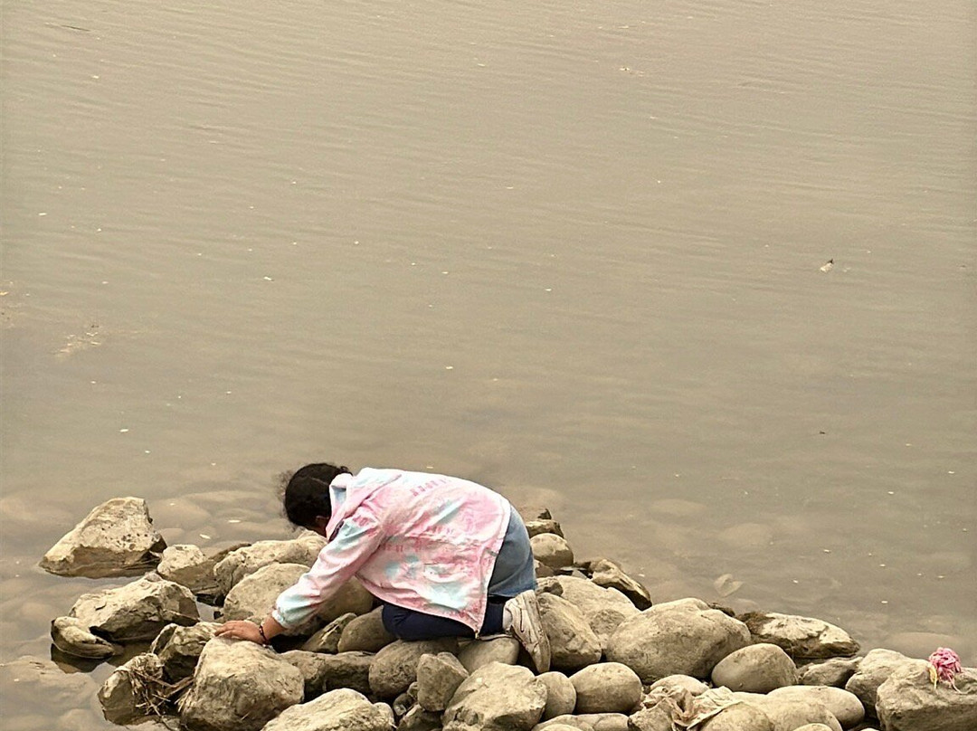 Narayani River-奇旺国家公国必去景点