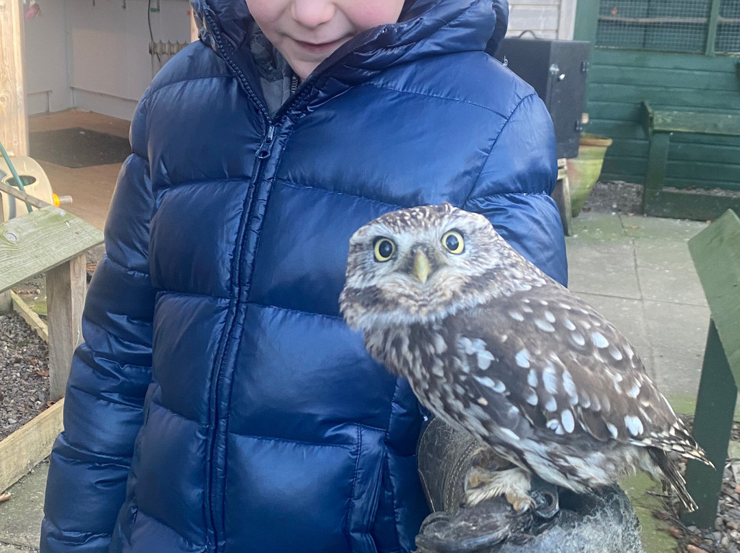 Dalhousie Castle Falconry-邦尼里格必去景点