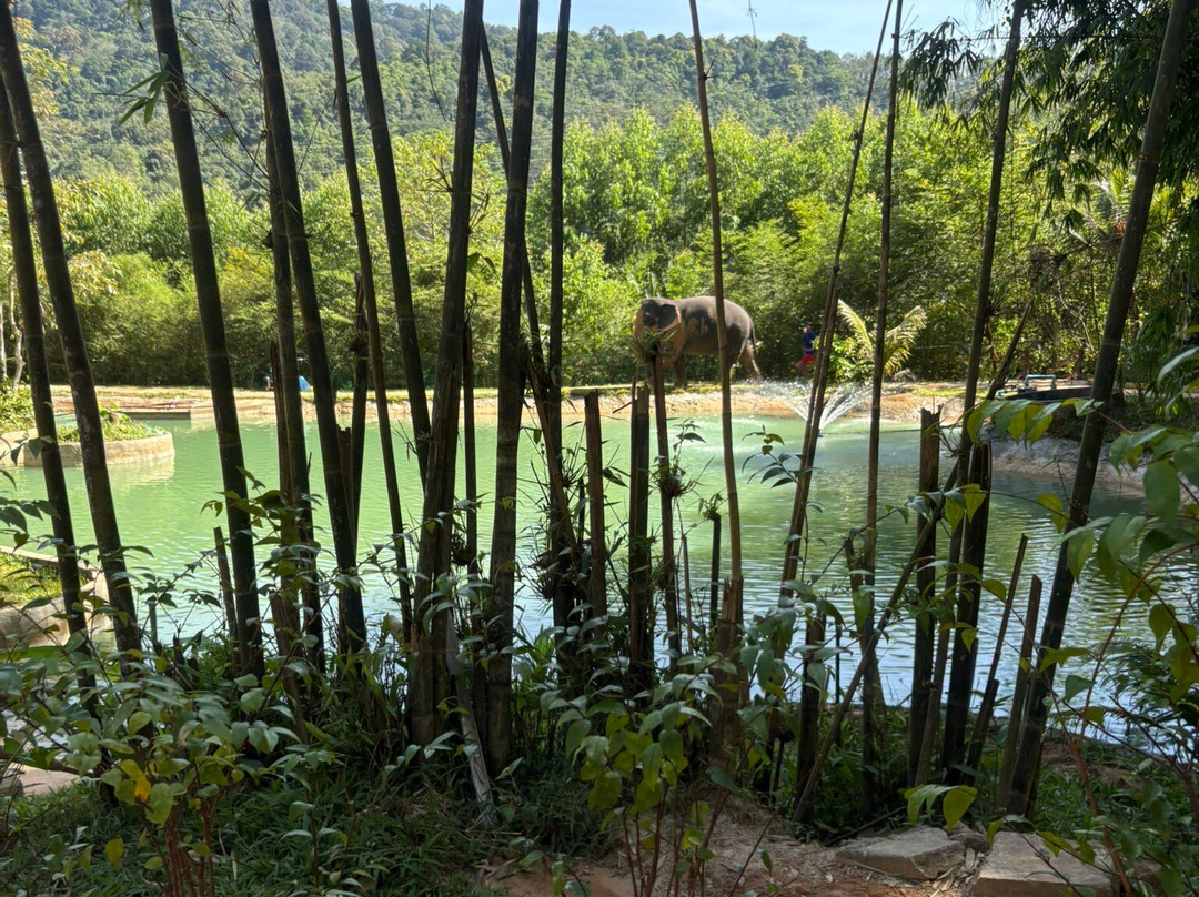 Phuket Elephant Care-奈通必去景点