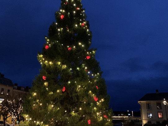 Åmåls Stadshotell主图