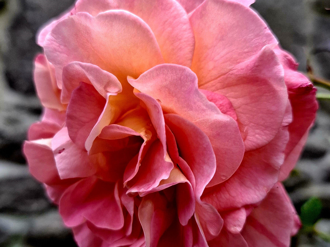 Circuit du Menhir à Berrien-Berrien必去景点