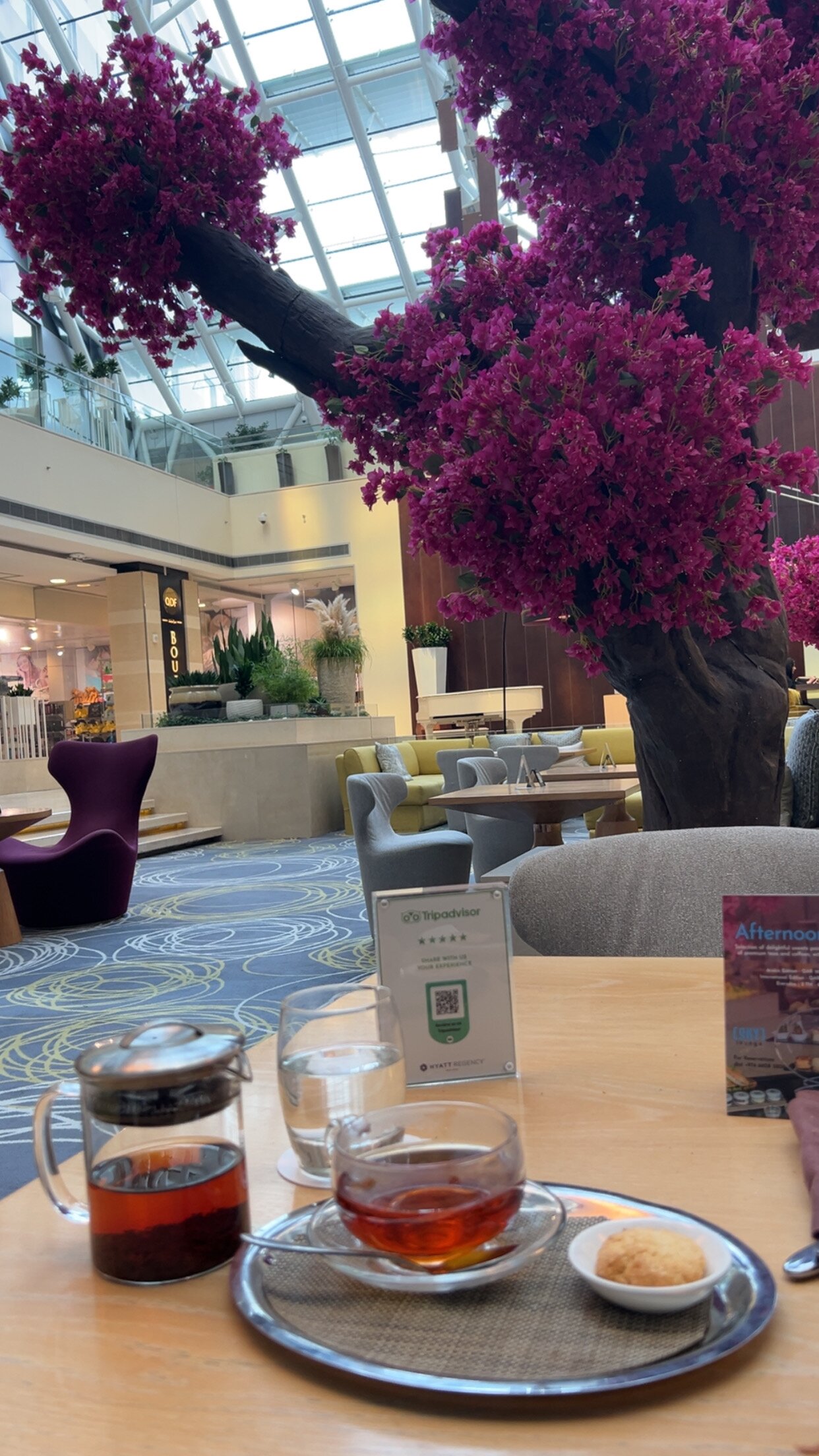 罗塔纳羚羊-官方