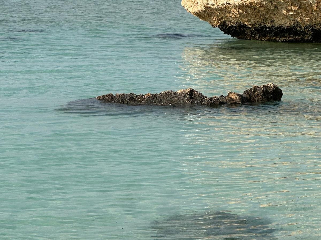 Sharm El Luli-马萨阿拉姆必去景点