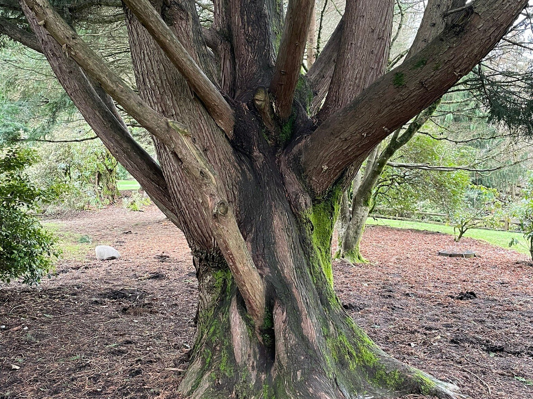 Rhododendron Park-Kenmore必去景点