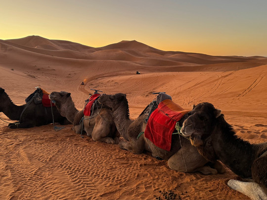 Morocco Colourful Tours-卡萨布兰卡必去景点