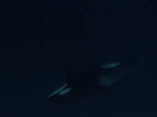 Lofoten Opplevelser-霍宁斯沃格必去景点