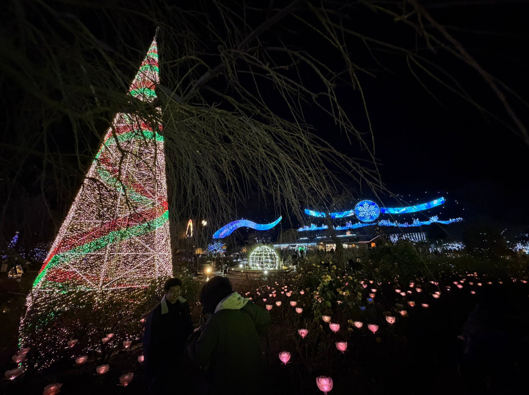 Ashikaga Flower Park-足利市必去景点