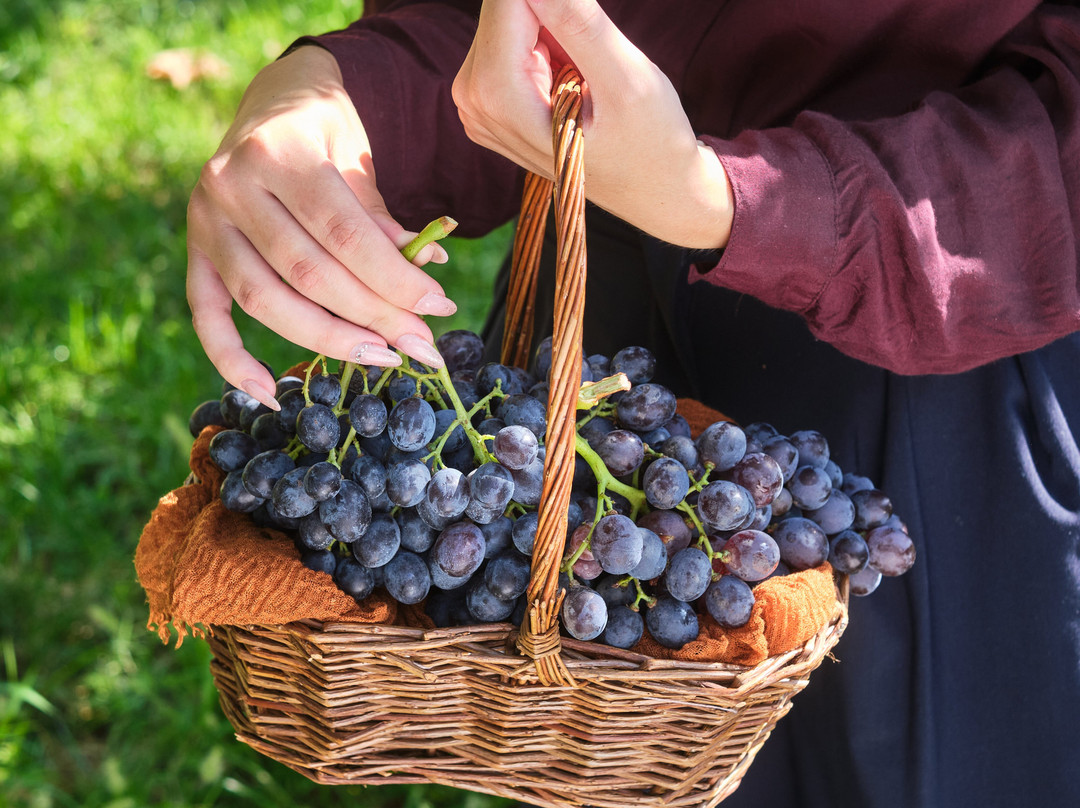Luciano Arduini Winery-San Pietro in Cariano必去景点