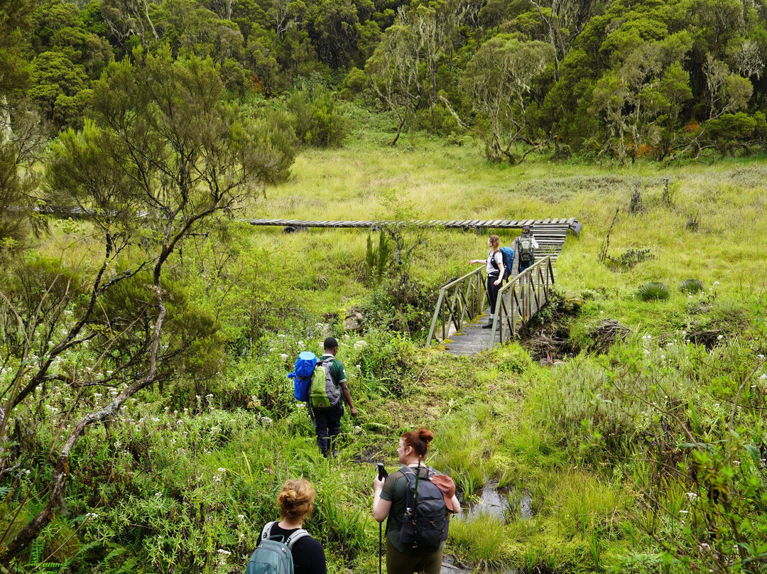 Trek Rwenzori Tours-Fort Portal必去景点