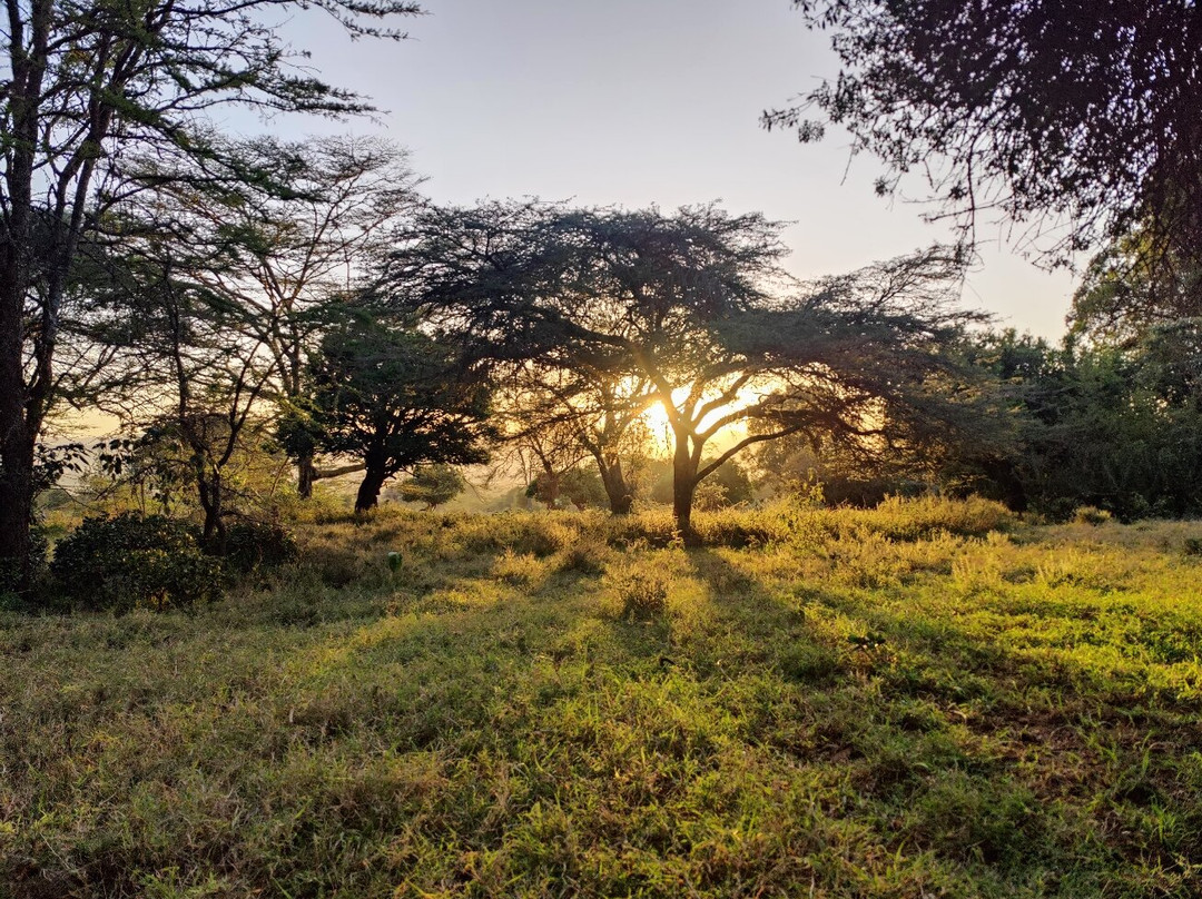 Mamasavana-马林地必去景点