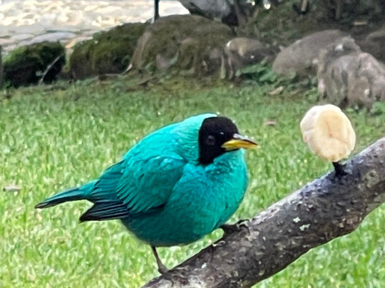 Hotel de Montana El Pelicano主图