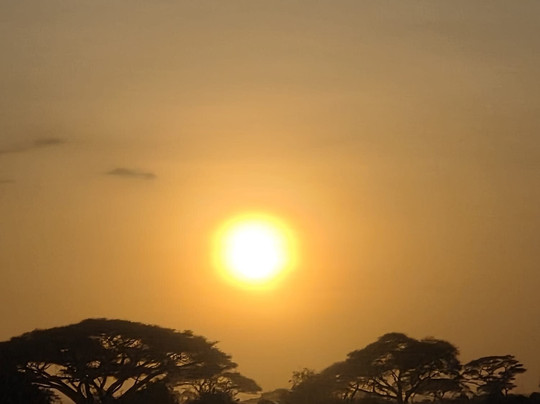 Benzi Kenya Safaris-瓦塔木必去景点