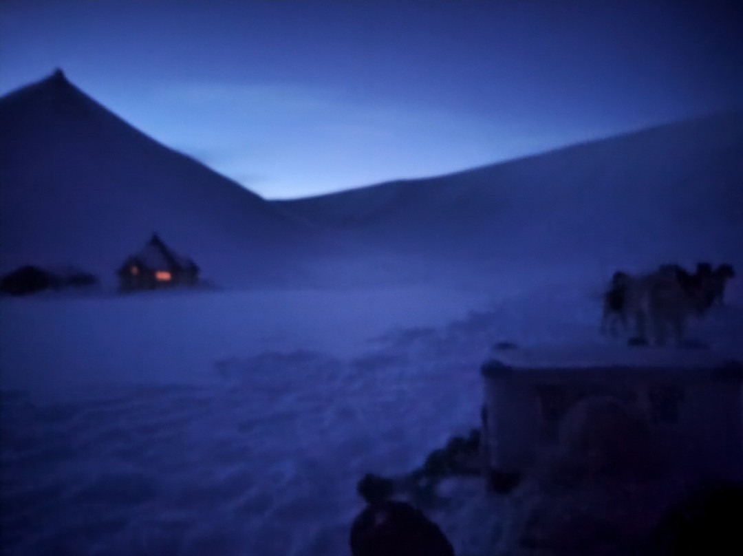 Green Dog Svalbard-朗伊尔城必去景点