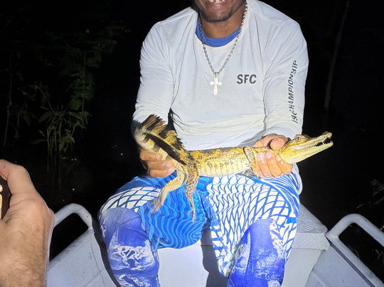 Amazon Prime Ecolodge-玛瑙斯必去景点