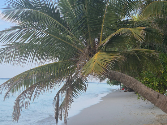 Nala Veli Beach & Spa主图