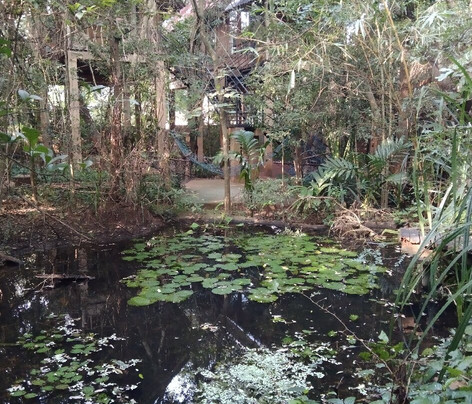 Habarana Tree House Mutu Village