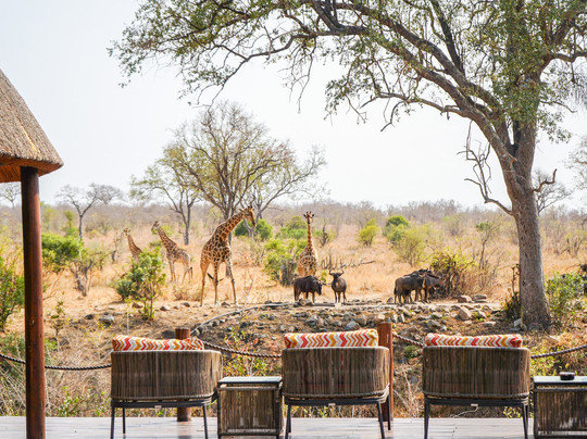 African Safari Group-开普敦必去景点