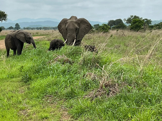 NICE ADVENTURE SAFARI-Dar es Salaam必去景点