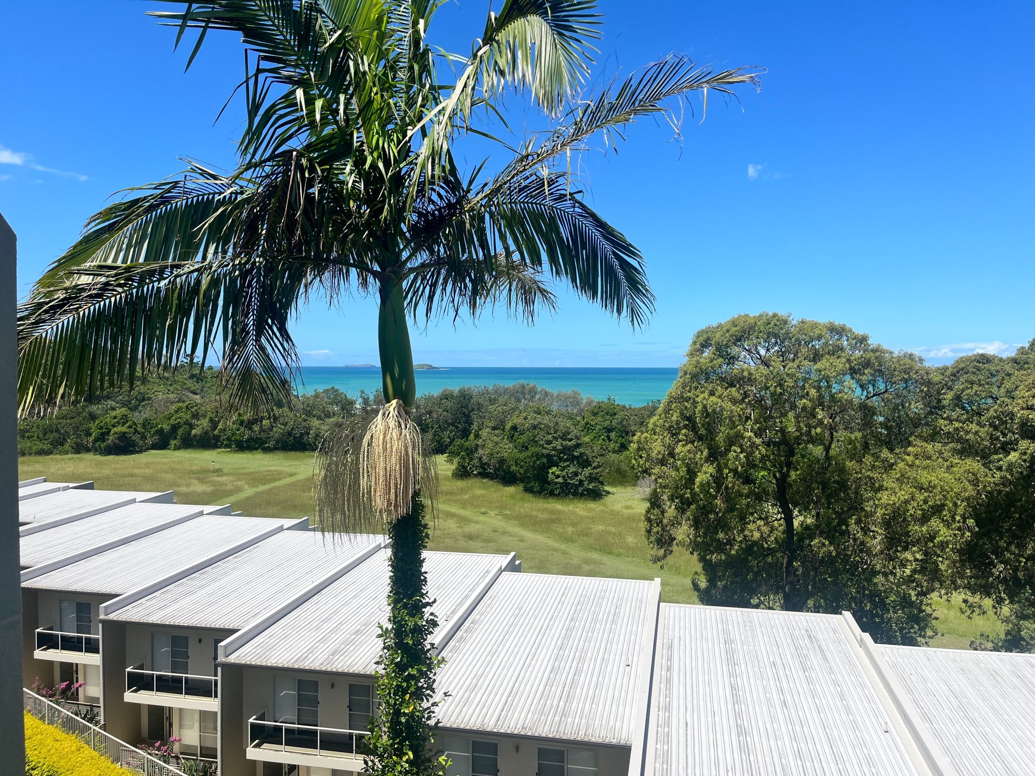 Opal Cove Resort-官方