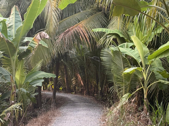 Mekong Eyes Cruise-芹苴必去景点